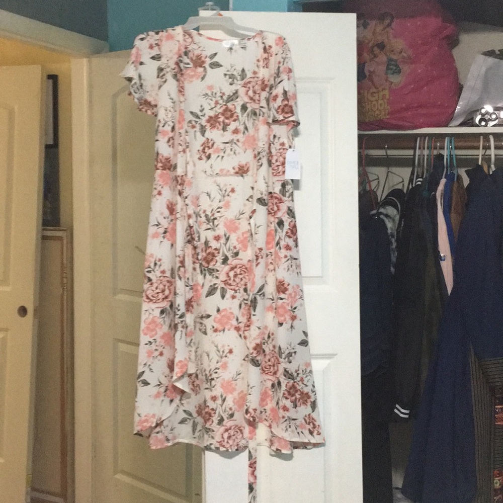 Tieable sheer dress